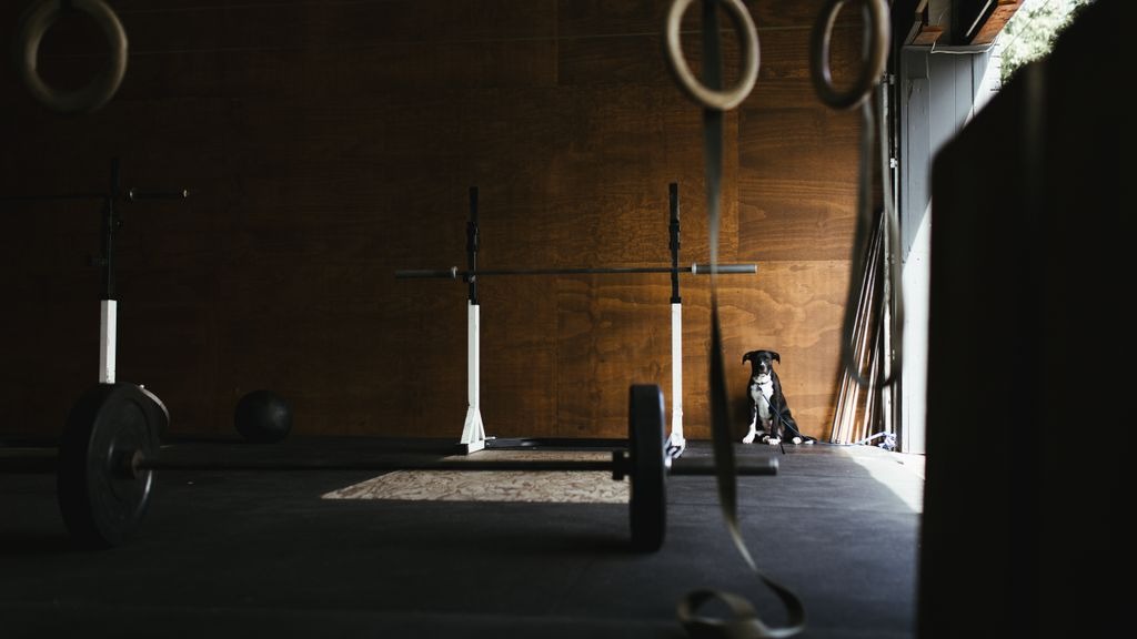 61936b46ca9f5cda43ca1f9ee67a4c10