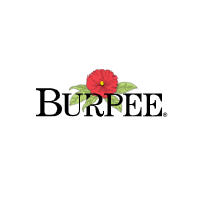 Burpee